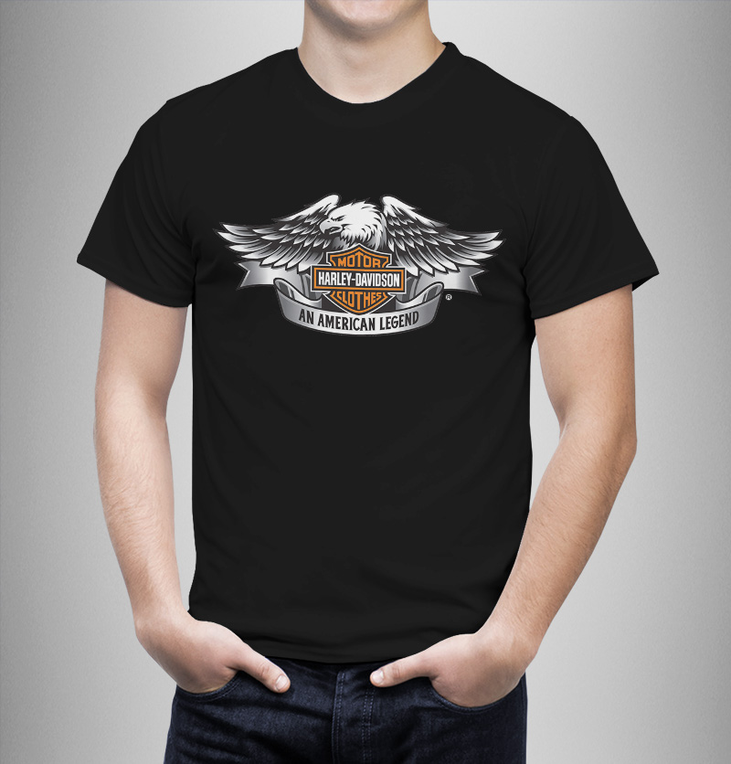 Μπλουζάκι με στάμπα/Grey eagle harley